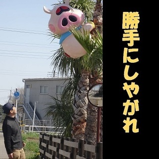 butamoodaterya2.jpg
