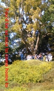 6gien03.jpg