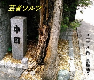 8ojikurokabedori.jpg