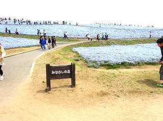 DSC001181.jpg