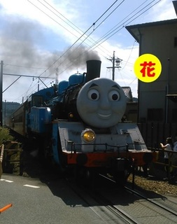 Thomas0910.jpg