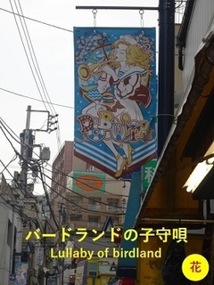 YOKOSUKA DOBUITA.jpg