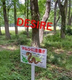 akigase.jpg