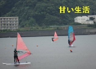 amaiseikatu0909.jpg