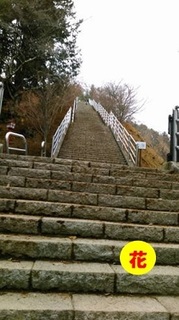 arakura1.jpg
