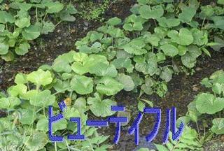 azumino0930.jpg