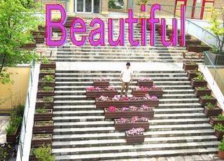beauty0609.jpg