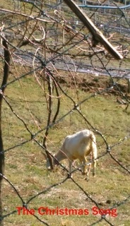 cocofarmwinery0220.jpg