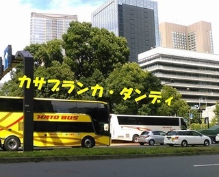 dy0805.jpg