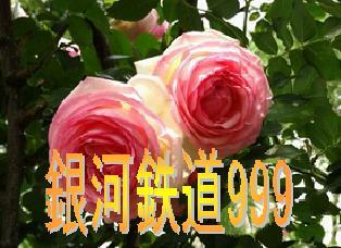 ginga9990801.jpg