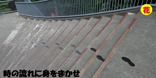 hakone0212.jpg