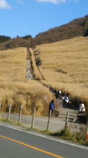 hakone6.jpg