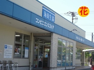 honmoku004.jpg