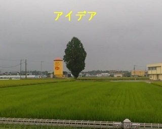 idea08.jpg
