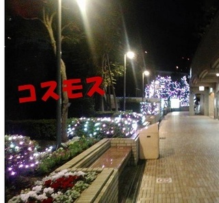 iidabashi.jpg