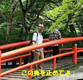 kajikabashi.jpg
