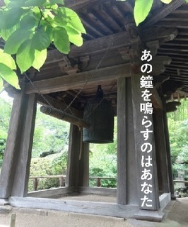 kamakura0828.jpg
