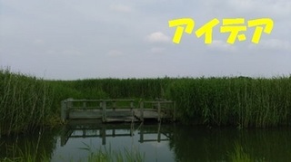 kazo0601.jpg