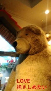kuma.jpg