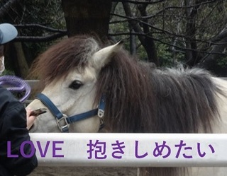 love05.jpg