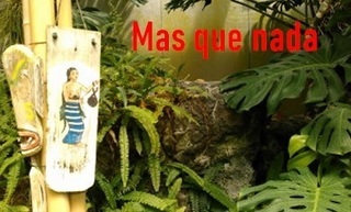 masquenada.jpg