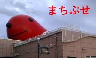 matibuse.jpg
