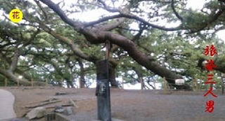 mihonomatubara0923.jpg