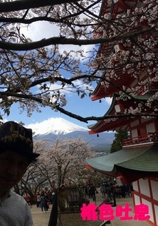 momoirotoiki0409.jpg