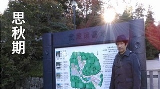 musashiryo12.jpg