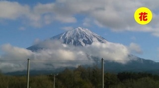narusawa1.jpg