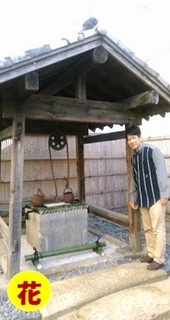 rikyu2.jpg