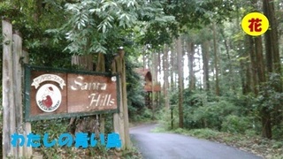 santahills0820.jpg