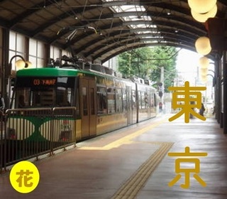 setagayasen0511.jpg