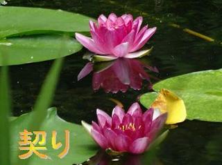 tigiri0906.jpg