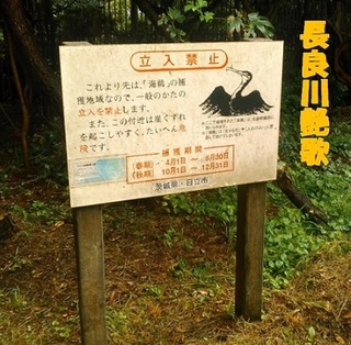 unomisaki.jpg