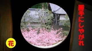 utunomiya02.jpg