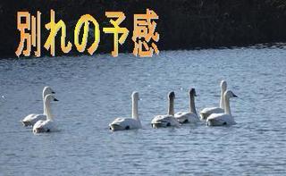 wakarenoyokan0210.jpg