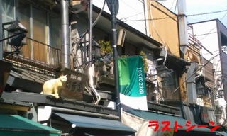 yanaka3.jpg