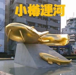 yoshikawa.jpg